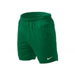 Dtsk trenky Nike - barva zelen